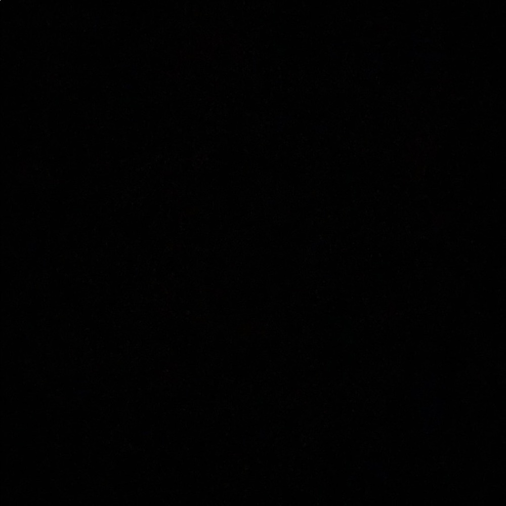 Meet your Posher, Bella